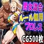 男女混合ルール無用プロレス（CG500枚）