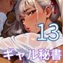 ギャル秘書は犯し放題13！110枚