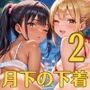 ビッチギャルは月下を下着で誘う2・260枚